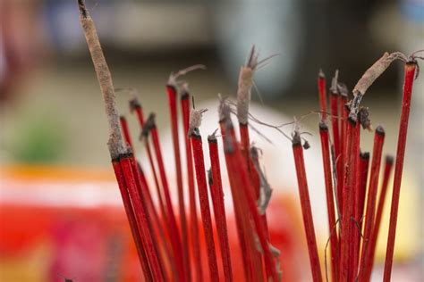 鬼月算命|鬼月應做祭祖？命理師：農曆七月祭祖增好運，人生路。